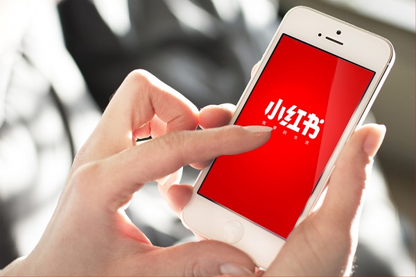 小红书养号全攻略