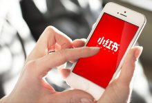 小红书养号全攻略2026：新手避坑+7天起号，告别零曝光-遇见seo